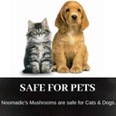 Noomadic Mushroom Total, 60 Capsules, 500mg, 30% Beta Glucans, Adaptogenic Mushroom Complex of Lions Mane, Turkey Tail, Chaga, Reishi, Cordyceps, Hot Water Extract, Fruiting Bodies. 6