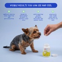 Same for Dogs - 120 Chewable Tablets - S-Adenosyl-L-Methionine, Liver Supplement - Brain Health, Promotes Cognitive Support, Liver Support (Same Tablet) 3