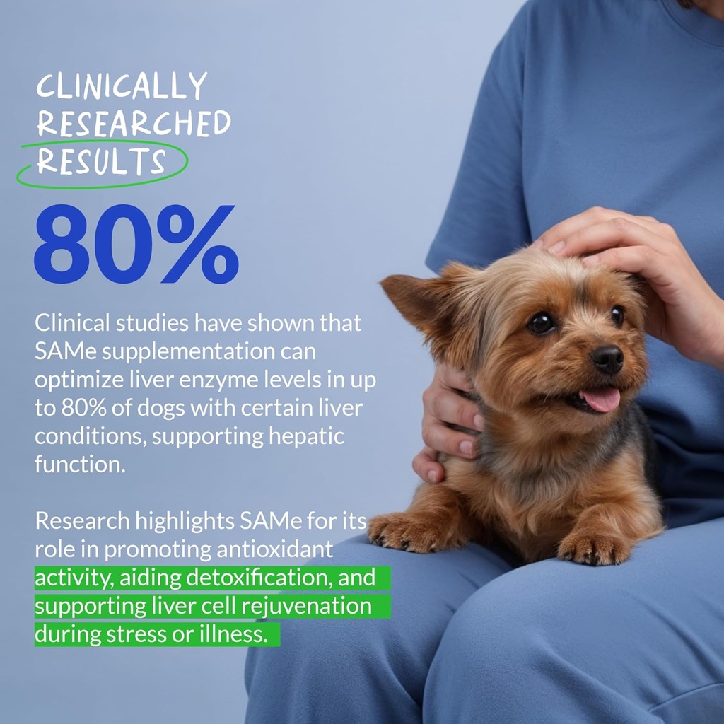 Same for Dogs - 120 Chewable Tablets - S-Adenosyl-L-Methionine, Liver Supplement - Brain Health, Promotes Cognitive Support, Liver Support (Same Tablet) 4
