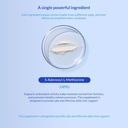 Same for Dogs - 120 Chewable Tablets - S-Adenosyl-L-Methionine, Liver Supplement - Brain Health, Promotes Cognitive Support, Liver Support (Same Tablet) 6