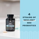 Ancient Nutrition Probiotics for Men, SBO Probiotics Men's Once Daily 30 Ct, for Healthy Digestion and Immune System Function Support, 25 Billion CFUs* Per Serving 5