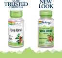 SOLARAY Uva Ursi Leaf 460 mg | Healthy Bladder, Kidney & Urinary Tract Function Support | Non-GMO | 100ct (Take 3 Daily) 4