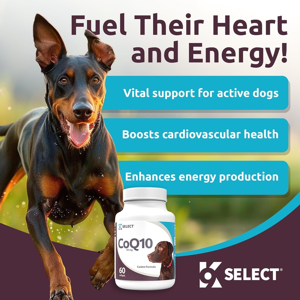 K9 Select CoQ10 Supplement for Dogs, 30mg - 60 Soft Gels per Bottle - Pet Supplement, Nutritional Softgels for Canine Heart Health, Cardiovascular & Gum Health, Energy 3