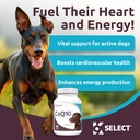 K9 Select CoQ10 Supplement for Dogs, 30mg - 60 Soft Gels per Bottle - Pet Supplement, Nutritional Softgels for Canine Heart Health, Cardiovascular & Gum Health, Energy 3