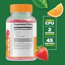 Lifeable Men's Probiotic 10 Billion + Probiotic 2 Billion CFU, Gummies Bundle - Great Tasting, Vitamin Supplement, Gluten Free, GMO Free, Chewable Gummy 4