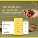 Naturealm Chaga Mushroom Liquid Tincture Supplement – Immune Support, Antioxidant Boost & Hair, Skin, Nail Health, Vegan, Non-GMO – Wild-Harvested Fruiting Bodies, 2 Month Supply 6