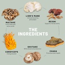 Vegan Vitality Nutrition Booster Bundle - Super Mushroom Complex and Collagen Booster. High Strength Plant Based Formula for Skin, Hair, Immunity and Overall Health for Vegans and Vegetarians 4