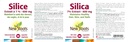 NEW ROOTS HERBAL Silica 7% Extract 600Mg, 90 CT 6