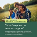 Gaia Herbs Black Elderberry, NightTime Syrup - Immune Support Supplement - With Organic Black Elderberries, California Poppy & Lemon Balm for Restful Sleep & Immune Defense - 5.4 Fl Oz (32-Day Supply) 6