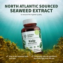 Natural Nutra Kelp Iodine Thyroid Support Supplement, Strengthens Immune System, and Regulates Metabolism, Vegan Sea Kelp, Non GMO, Atlantic Sourced Seaweed Extract, 225 mcg, 100 Tablets 5