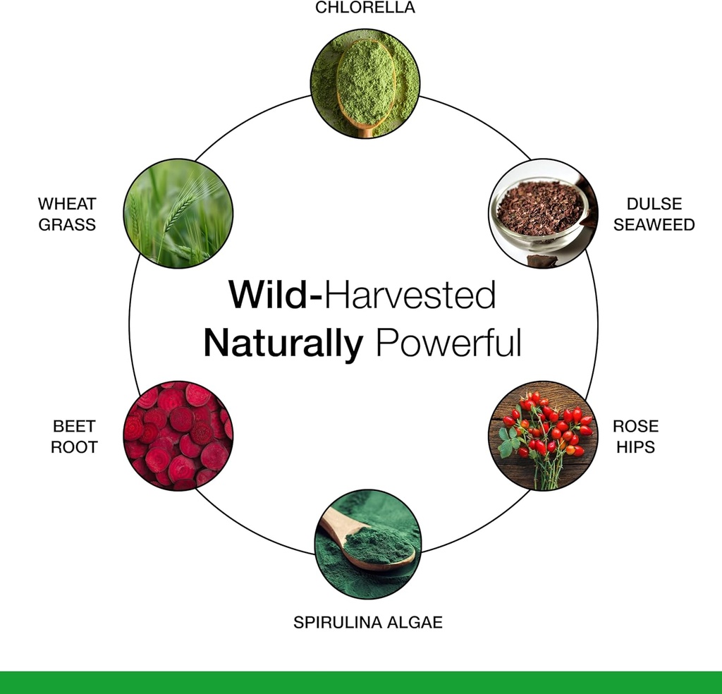 Dr. Schulze's SuperFood Plus | Vitamin & Mineral Herbal Concentrate | Daily Nutrition & Increased Energy | Gluten-Free & Non-GMO | Vegan | 390 Tabs | Packaging May Vary 6