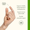 Swanson Free Form L-Lysine - Natural Supplement Promoting Stress Support & Nervous System Health - May Promote Calm Mood & Relaxation - (300 Capsules, 500mg Each) 2 Pack 5