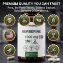 PRISTINE'S Berberine Supplement Capsules - 1000 MG 75 Day Supply 150 Capsules - Heart, & Immunity Health Support Antioxidant - Digestive Tract & Healthy Gut Flora Support 3