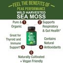 Organic Sea Moss Capsules. Wild Harvested Sea Moss Raw Organic Vegan Supplement from Red Algae Seaweed. 100% Whole Extract Raw Irish SeaMoss Superfood Pills. for Gut, Respiratory, Immune Support. 3