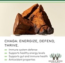 Chaga Mushrooms Capsules 120 Count (1,000mg Chaga Mushrooms Powder per Serving) High in Polysaccharides, Beta Glucans, and Terpenoids - Grown and Made in The USA, Vegan Safe, Organic by Double Wood 5