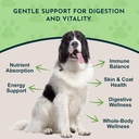 Animal Essentials Herbal Green Alternative for Dogs & Cats - Super Greens Powder Herbal Supplement with Spirulina, Antioxidants, Chlorophyll - 12 Oz 4