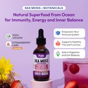 Sea Moss and Ashwagandha Liquid Supplement - Infused with Lion's Mane, Black Seed Oil, and Bladderwrack - Vegan, Easy-to-Mix Formula - Supports Antioxidant Activity & Immune Health (Mixed Berry, 60mL) 3