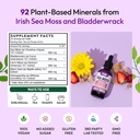 Sea Moss and Ashwagandha Liquid Supplement - Infused with Lion's Mane, Black Seed Oil, and Bladderwrack - Vegan, Easy-to-Mix Formula - Supports Antioxidant Activity & Immune Health (Mixed Berry, 60mL) 5