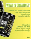 NutraBio Pure Micronized Creatine Monohydrate Powder Supplement, Lemon Burst, (300 g) - Supports Bulk Muscle Energy, Recovery, and Strength - HPLC Tested Creatine Powder Supplement for Men and Women 4