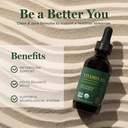 Global Healing - Organic Vitamin B12 5000 MCG Sublingual Liquid - Methylcobalamin, Hydroxo Blend & More - Methylated Drops for Adults - Vegan, Non-GMO, VIT B12, Vitamins Supplement (2 Oz) 5