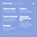 Health by Habit Stress Relief Supplement (60 Capsules) - Vitamin B, Zen, Lemon Balm, Supports Relaxation, Mood Balance, Reduce Stress, Non-GMO, Sugar Free (1 Pack) 5