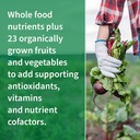 Garden of Life Antioxidant Vitamin Code Raw Whole Food Supplement Capsules with Probiotic and Enzyme Blend, Vegan, Unflavored, 30 Count 4