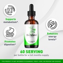 (2 Pack) Barislend Drops, Barislend Liquid, Official Barislend Liquid Drops, Barislends Advanced Liquid Drop Formula, Barislend Drop Supplement Premium Liquid Supplement Support, 2 Bottles For 2 Month 3