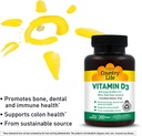 Country Life Vitamin D3 5000 IU for Immune and Bone Health, Calcium Absorption, and Colon Health - Sustainable Source from Lanolin, Available in Various Strengths 6
