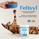 Felisyl Immune System Support(L-Lysine) Granules for Cats 3.5oz(100g) 3