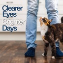 Felisyl Immune System Support(L-Lysine) Granules for Cats 3.5oz(100g) 5