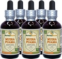 Muira Puama (Ptychopetalum Olacoides) Glycerite, Organic Alcohol-Free Liquid Extract (Brand Name: HerbalTerra, Proudly Made in USA) 4x4 fl.oz (4x120 ml) 4