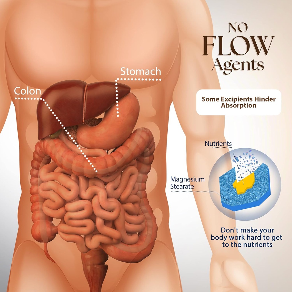 Dr. Clark Clove, Wormwood & Freeze-Dried Green Black Walnut Hull (3 Items) 6