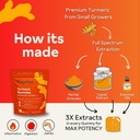 Turmeric Gummies for Women | Turmeric Supplement Gummies for Inflammation | Turmeric Gummies for Adults | Natural Curcumin, Low-Sugar, Vegan, Mandarin Orange Flavor, 45 Count 5