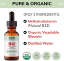 USDA Organic Vitamin B12 Liquid Drops – 5000 mcg Methylcobalamin – Sublingual, Fast-Absorbing Vegan Supplement – Energy, Metabolism, Brain, Heart & Immune Support – Alcohol-Free, 60 Servings, USA Made 6