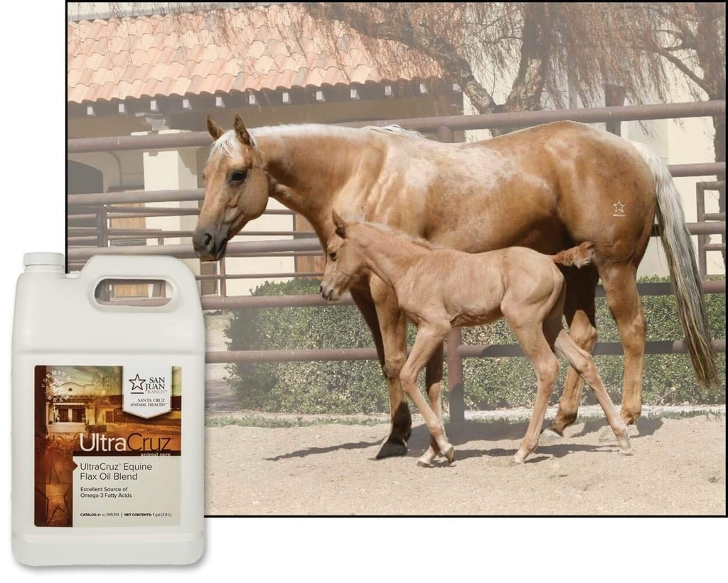 UltraCruz® Equine Flax Oil Blend, 4 x 1 Gallon 3
