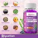 Sea Moss & Elderberry Gummies, Blueberry Flavored Gummy, Vitamins Sea Moss Supplements with Vitamin C + Zinc and Apple Cider Vinegar, Good Texture, Vegan-Friendly, 120 Count(Pack of 2) 6