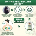 NEVISS Mullein Gummies for Lungs, Organic Mullein Leaf Extract 1000mg for Respiratory System with Quercetin & Bromelain, D3 for Digestive Support, Immune Booster, Sugar Free, Vegan, 120 Count 6