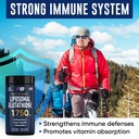 (Bundle) L Tyrosine 1000mg & Liposomal Glutathione 1750mg - All-Natural Focus, Energy, and Liver Support - Non-GMO, Gluten-Free, Vegan - 270 Capsules Total 5