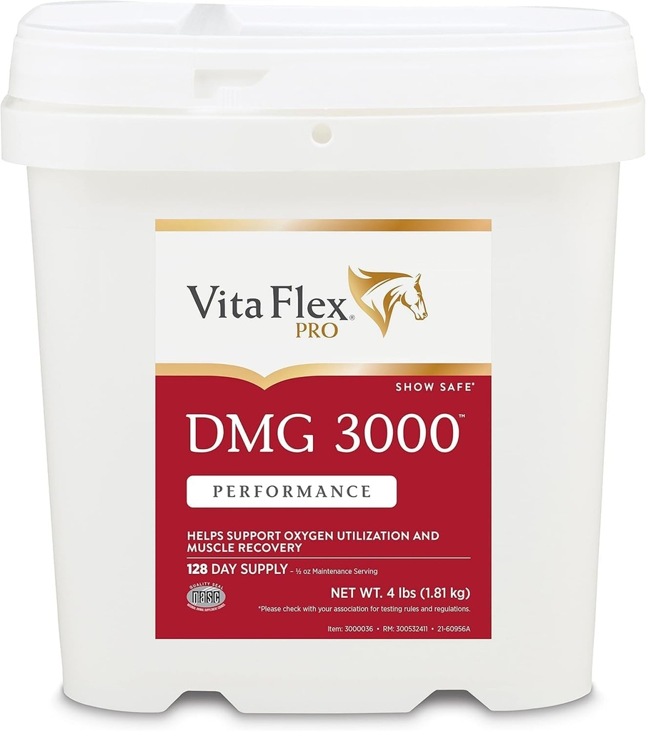 Vita Flex Pro DMG 3000 Horse DMG Concentrate, 4 Pounds, 128-Day Supply 4