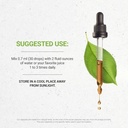 Secrets of the Tribe Muira Puama and Catuaba Tincture Alcohol-Free Extract, High-Potency Herbal Drops, Tincture Made from Muira Puama and Catuaba Ptychopetalum Olacoides 4 oz 4