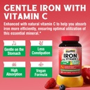 10 in 1 Magnesium Complex & Iron Supplement, 65mg Carbonyl Iron with 250mg Vitamin C & 5 in 1 Iron Complex 4
