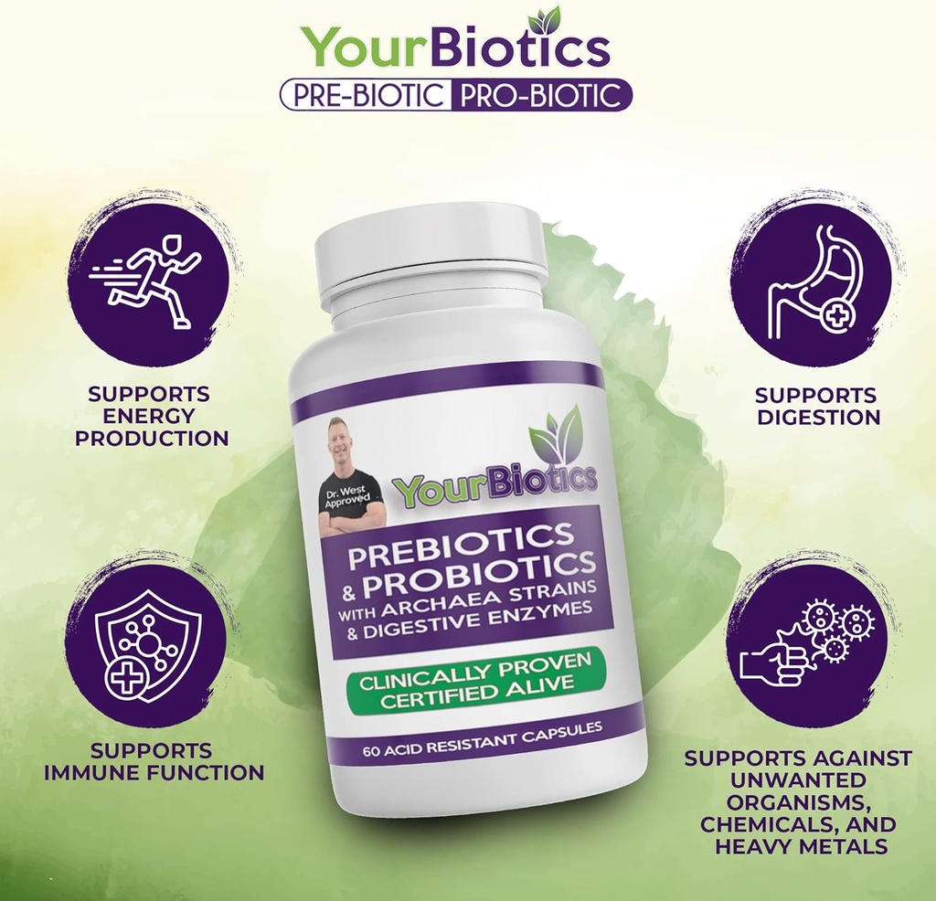 YourBiotics Prebiotics and Probiotics for Men & Women - Digestive Enzymes with Probiotics and Prebiotics Acid Resistant - Women & Mens Probiotics for Gut Health Immune Support & Digestion - 60 Count 4