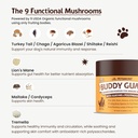 Petsmont Buddy Guard for Lumps and Bumps, Lipoma for Dogs & Cats, Patent Pending Organic 8 Mushroom Powder Blend Natural Dog Probiotic & Immune Support Chaga, Reishi, Lion's Mane, Turkey Tail Mushroom 6