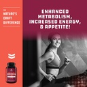 Pure Forskolin Extract Indian Coleus Forskolin for Natural Weight Loss, Burn Fat, Boost Metabolism, Look Leaner & Boost Confidence for Women & Men 4