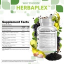 Clean Nutraceuticals Oregano Oil Garlic Extract Olive Leaf Black Seed Oil- Immune Support & Digestive Health Supplement for Women and Men with Vitamin D3 & Zinc - 5Pack 5