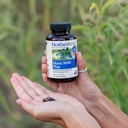 Motherlove More Milk Plus (180 Liquid caps) Fenugreek-Based Lactation Supplement to Support Breast Milk Supply—Non-GMO, Organic Herbs, Vegan, Kosher 6