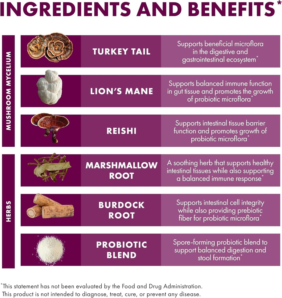 Host Defense MycoBotanicals Microbiome* Powder - Digestive & Immune Health Support Supplement - Gut Health Supplement with Turkey Tail, Lion's Mane & Reishi - 3.5 oz (33 Servings)* 6