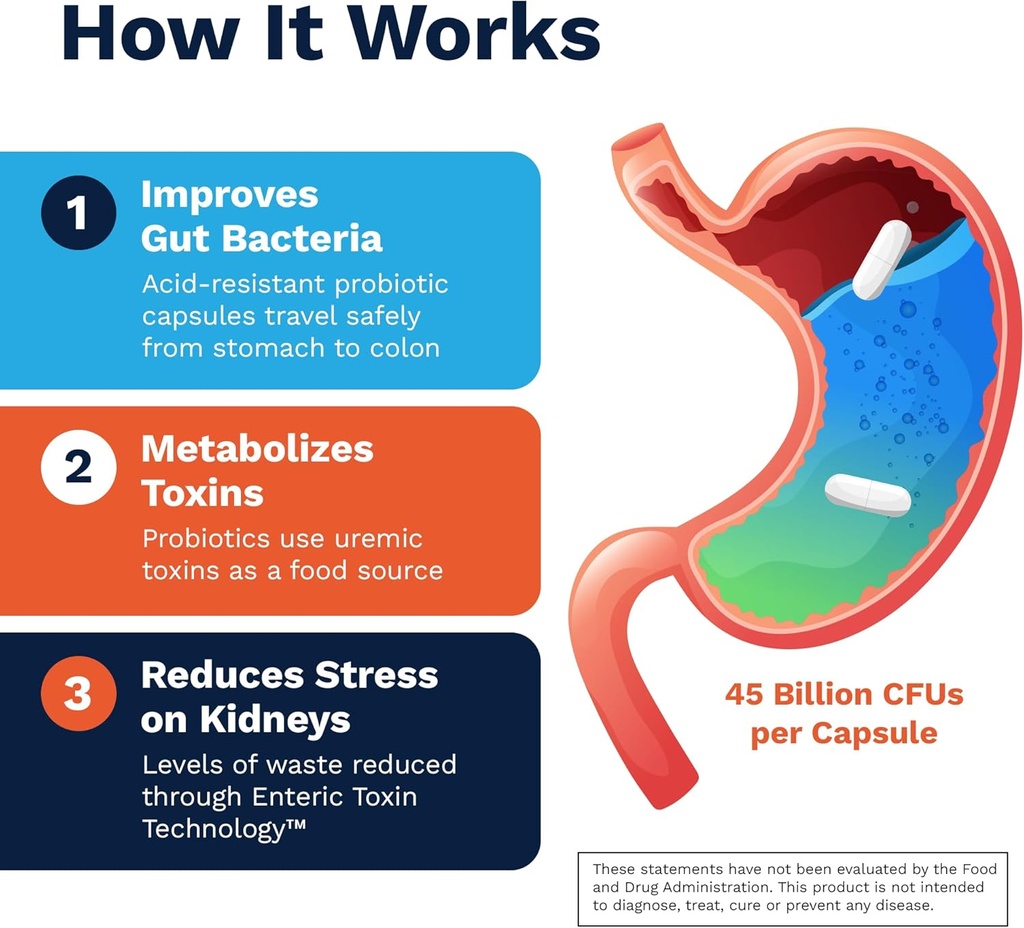 Renadyl Kidney Probiotic Supplement | Urea, Creatinine, & Uric Acid Support | 45 Billion CFUs | Clinically Tested, Non-GMO, & Made in USA, 60 Capsules (1 Bottle, 1 Month Supply) 5