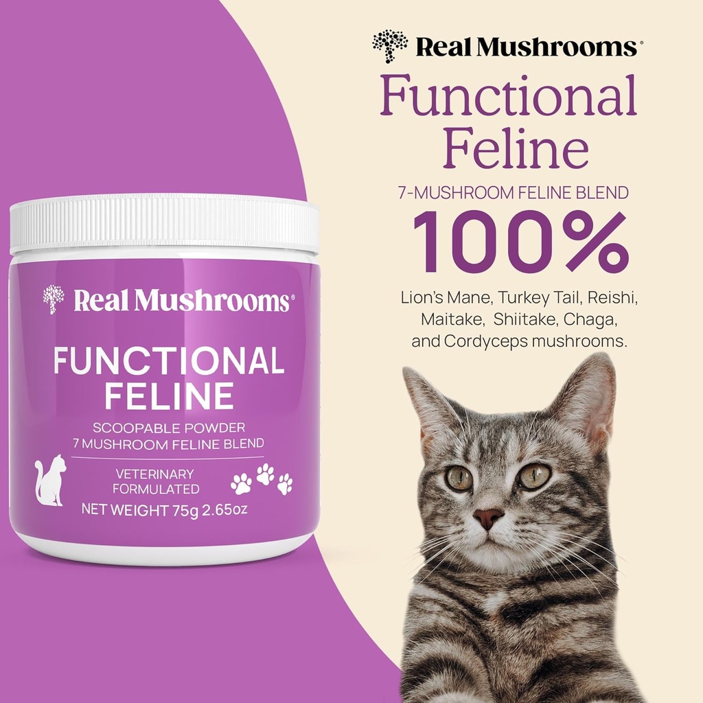 Real Mushrooms Cat Supplement Powder – Organic Mushroom Blend with Antarctic Krill & Ashwagandha – Cat Vitamins for Older Cats or Kittens – 2.65 oz Functional Feline Formula 4