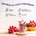 FlavCity Grape Electrolytes Drink Mix, 28 On-The-Go Stick Packs - Healthy Electrolytes Powder Packets Made with Real Fruit - Keto Powdered Drink with No Added Sugar, Gluten-Free 5